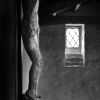 immagine relativa all'appuntamento