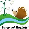 immagine relativa all'appuntamento
