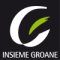 Insiemegroane